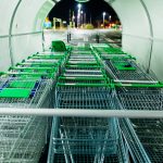 pexels kelly 3129802